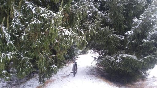 Soonwaldsteig an den Glashütten Wiesen