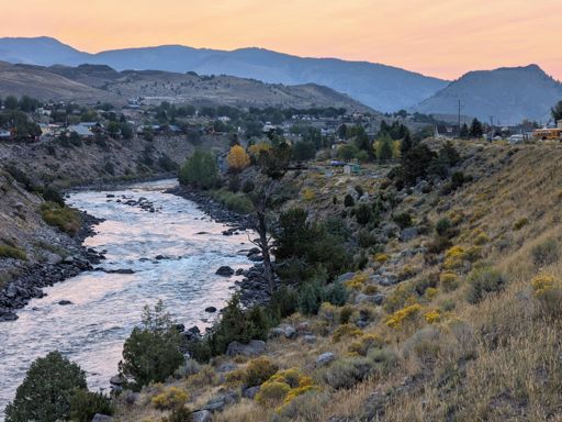 Gardiner this morning.
