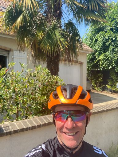 Palmier 🏝️ ; force et sérénité 😉