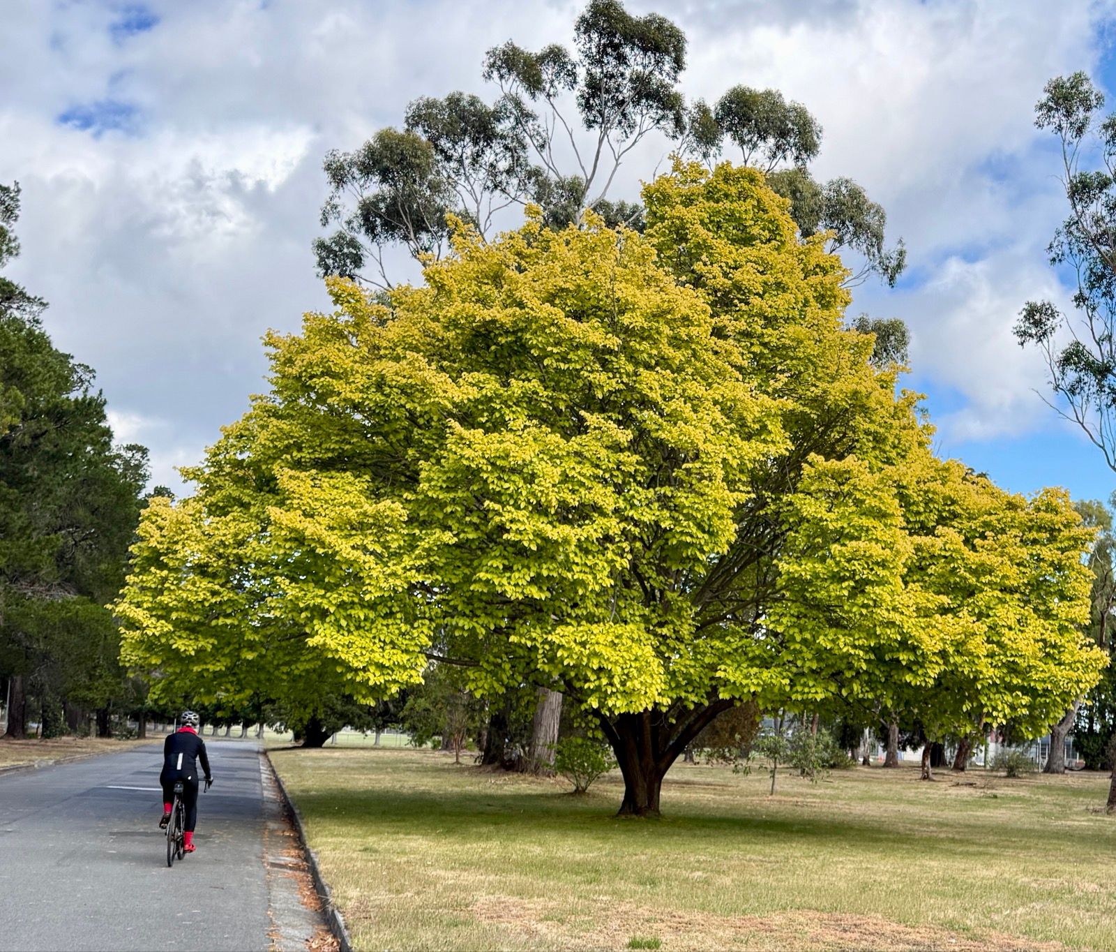 Di leaving the Cadbury Estate, in full winter kit given that the apparent temperature was 4.5 degrees when we left home.