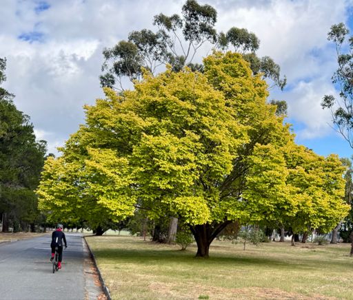 Di leaving the Cadbury Estate, in full winter kit given that the apparent temperature was 4.5 degrees when we left home.