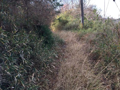 Not the road I hoped for