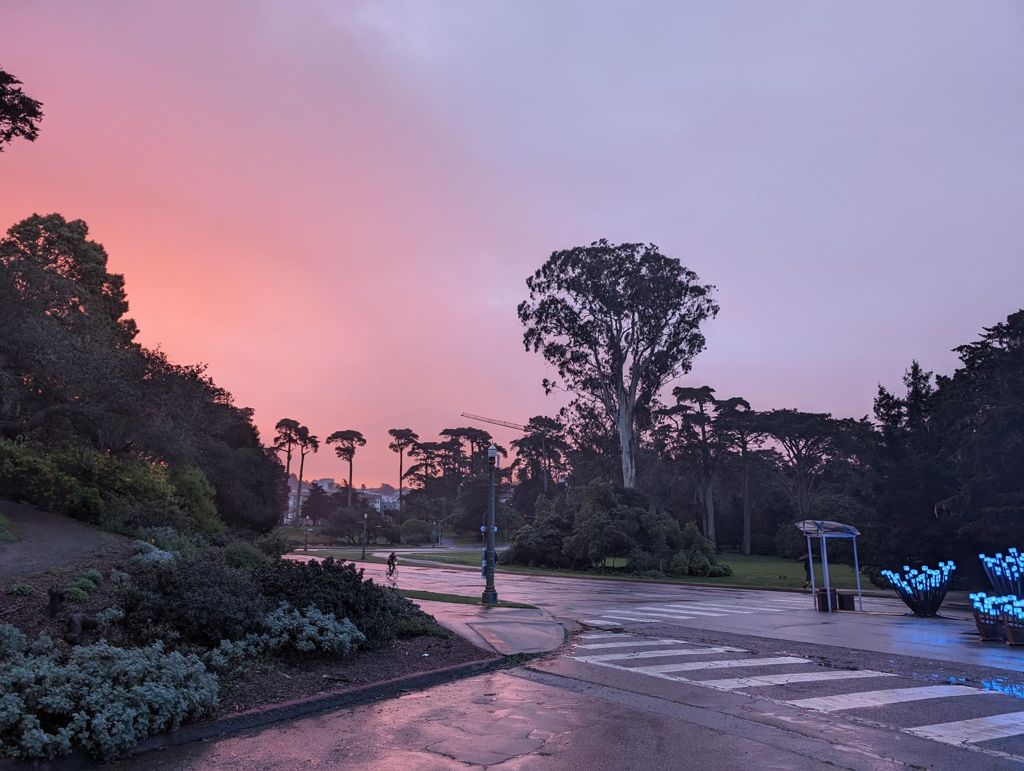 Butterlap (Presidio & Golden Gate Park) photo 7