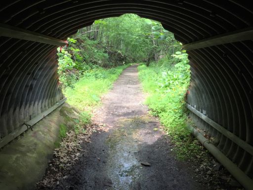 On the Home Stretch. Onway Lake Road Tunnel