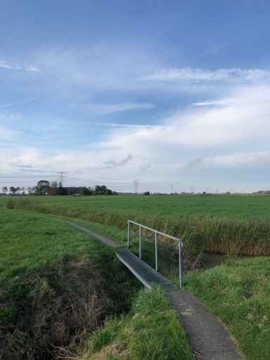 A cattle grid as a bridge, really??