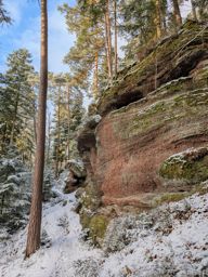 Balade dans la neigr