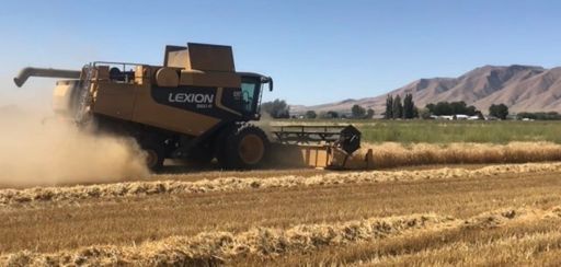 She Thinks My Tractors Sexy.....