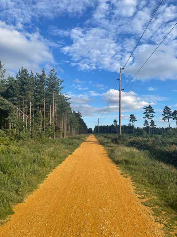route-highlight