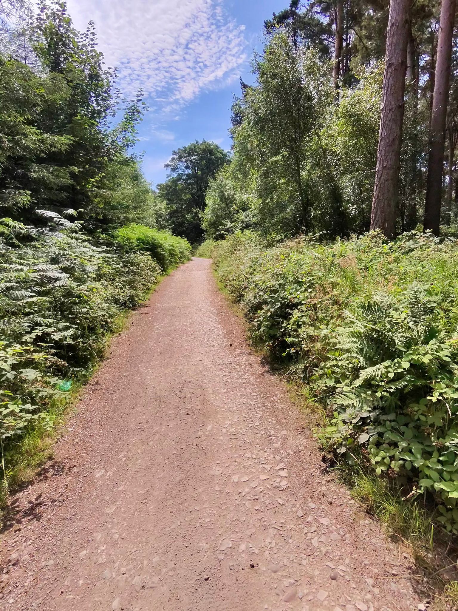 Stafford ride