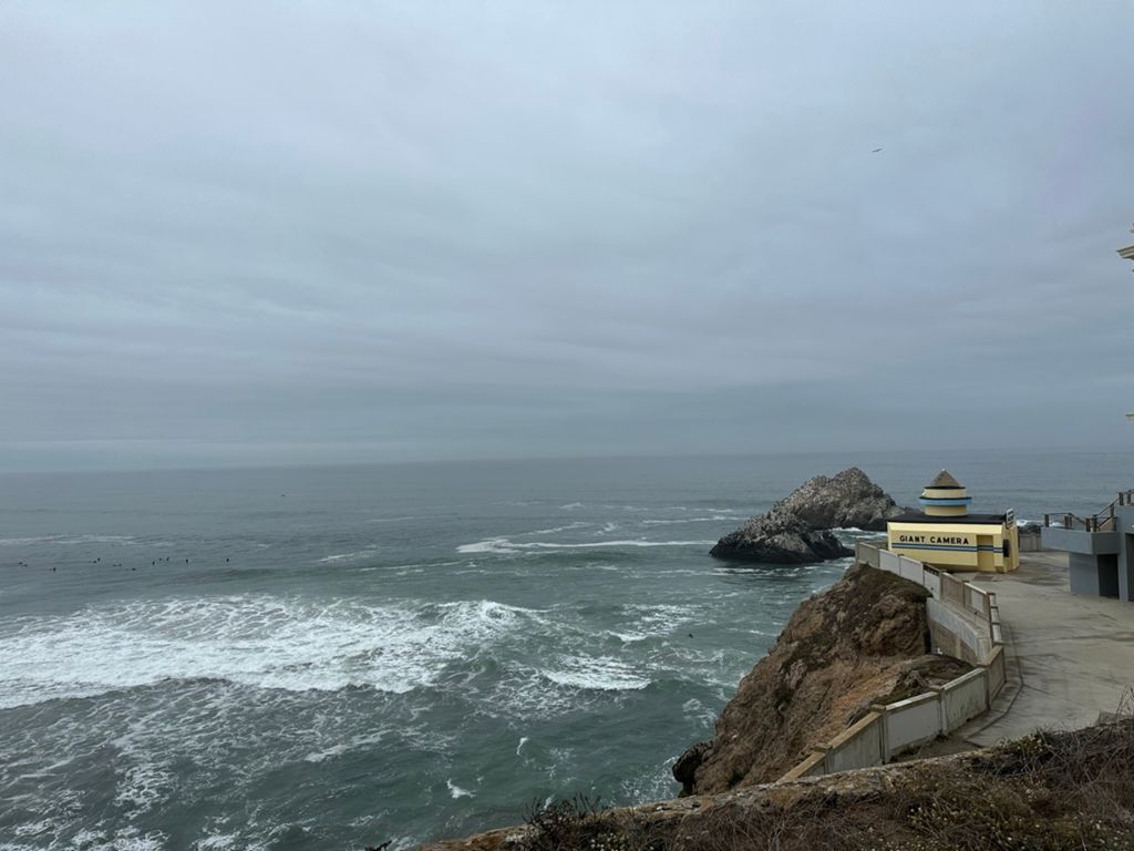 Butterlap (Presidio & Golden Gate Park)的照片 174