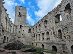 Landsberg eranthis hiemalis