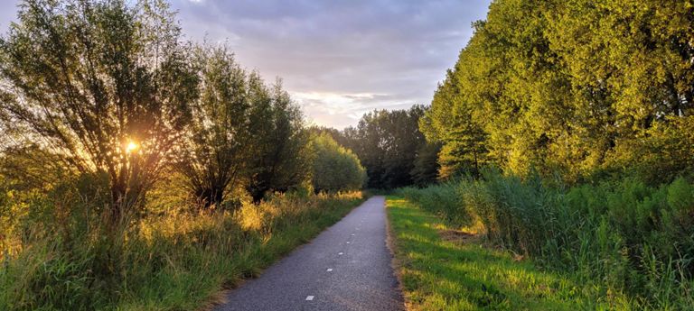 route-highlight