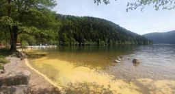 Lac de Longemer <-> Hohneck