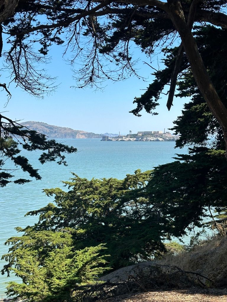 Butterlap (Presidio & Golden Gate Park) photo 83