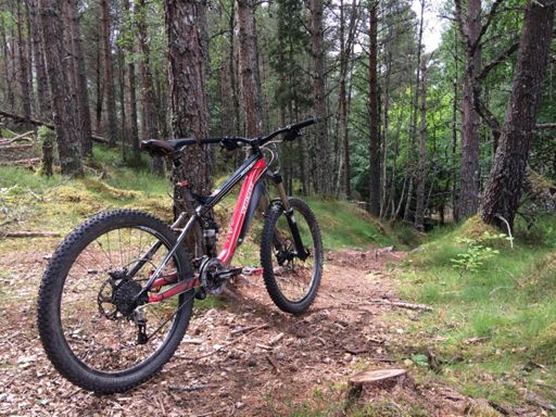 A wee rest before a blast down TV Trail