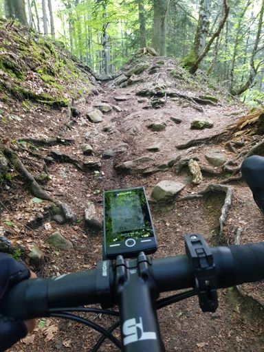 Teilweise grenzwertig 