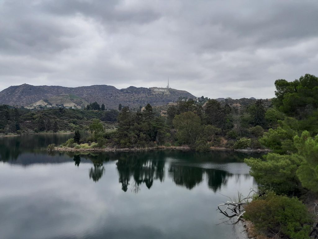 NBB run - Lake Hollywood: фото 110