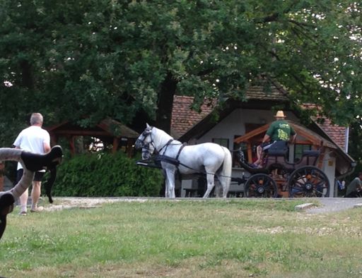 Itt a szélárnyékunk:D