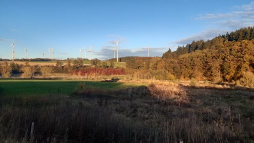 Schinderhannesradweg