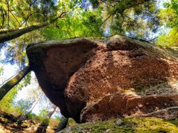 Balade photos à St Quirin