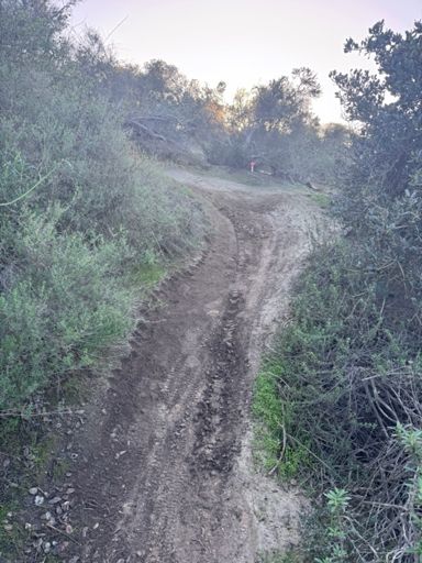 Surron appreciation 🤬