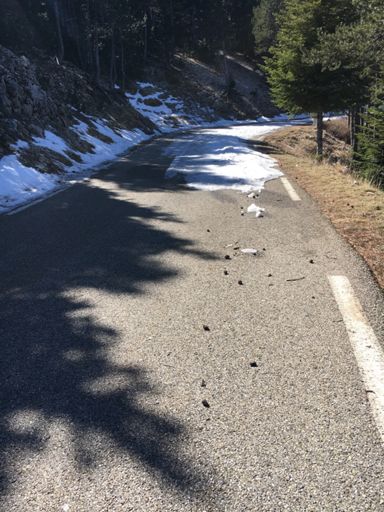 unfinished business!! I'll be back...