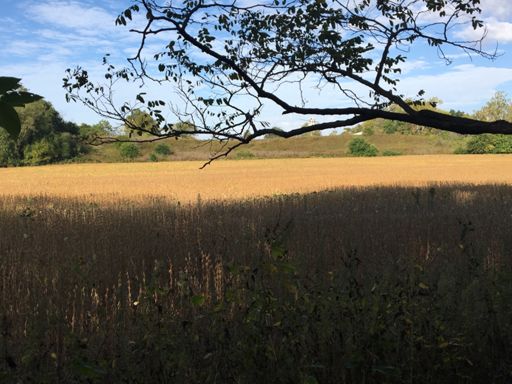 Kurt's favorite spot... LOL 😂