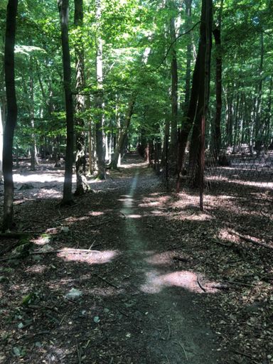 Sedlo Skalka-Sklená huta