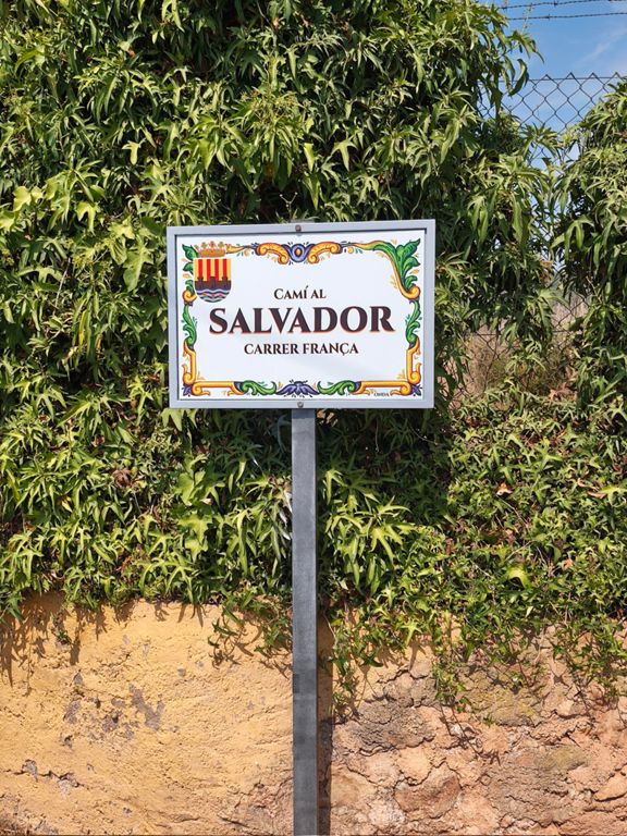 Salvador Day'S