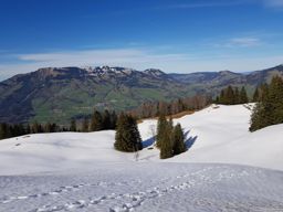 Gotterli, lac des 4 cantons