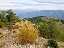 Cime de Roccassièra