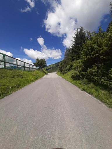 Grande gamba in lontananza