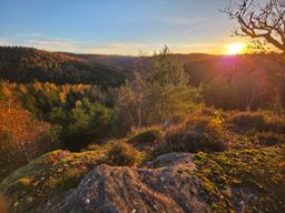 Sortie VTT dans l’après-midi
