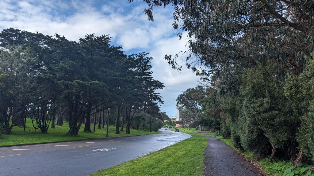 Butterlap (Presidio & Golden Gate Park) photo 198