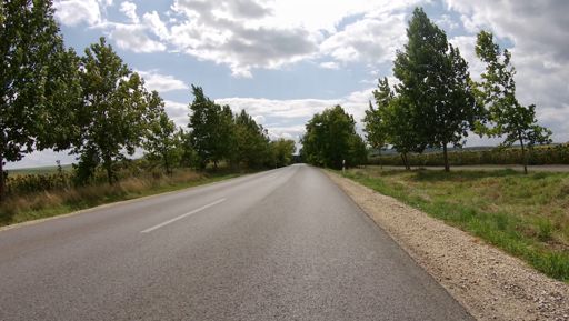 Nem volt ma topon a kamerám, pár percet vett csak a szegmensből.   Azért talán látszik a szél intenzitása a jobb oldali fán.  Felcsút végéig, ahol végre megszünt a szembeszél, 37-es átlagot tudtam csak!   Onnan a végéig meg 41.8-ast.