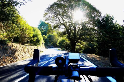 Primera subida del día, con el sol de frente.