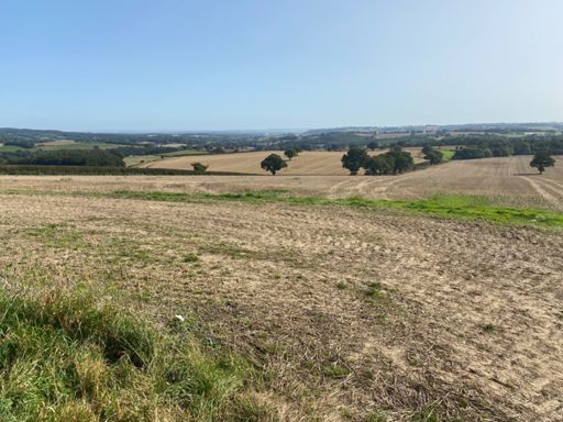 Looking SE before dropping into Wenlock