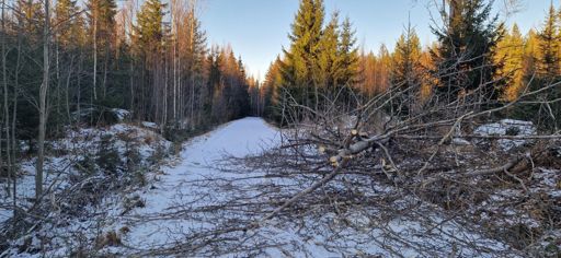 Hannes Storm was here. 