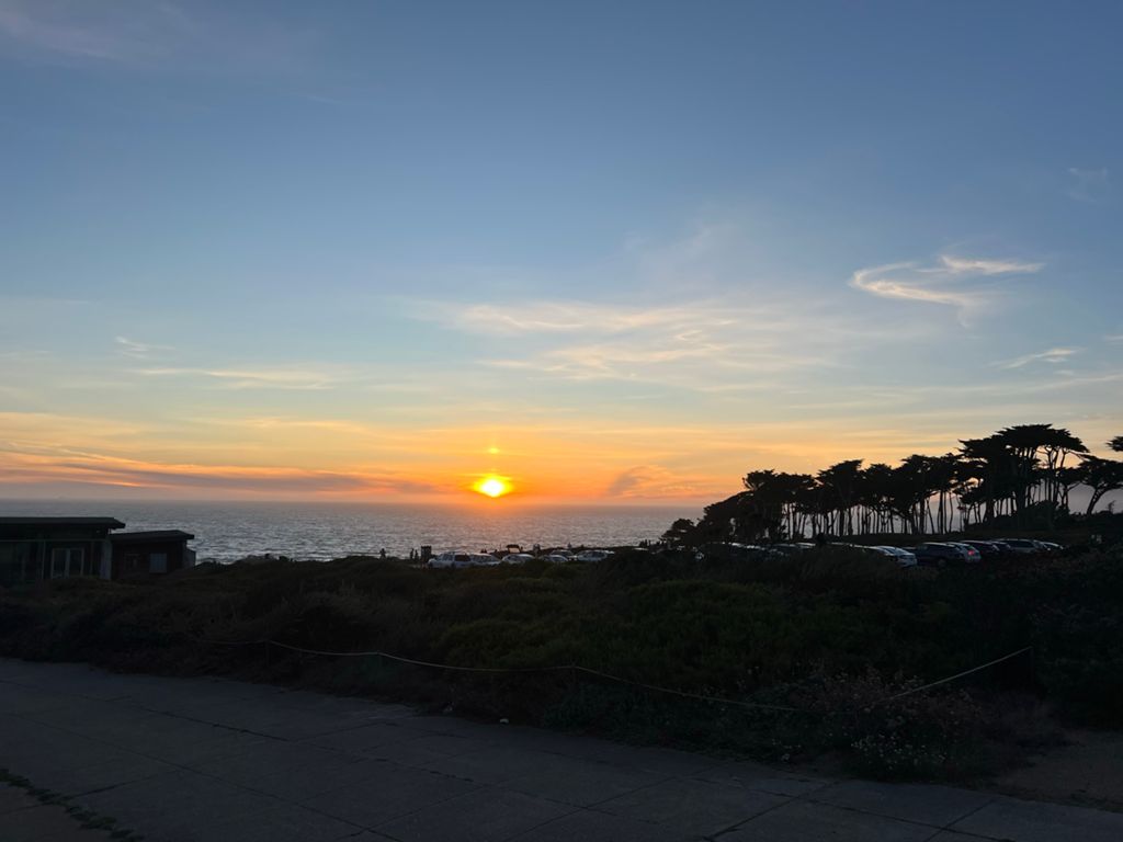 Butterlap (Presidio & Golden Gate Park) photo 185