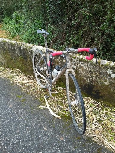 Mascarada de...porca! :D