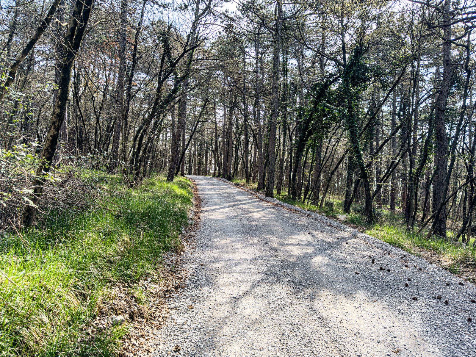 Ride Image 9