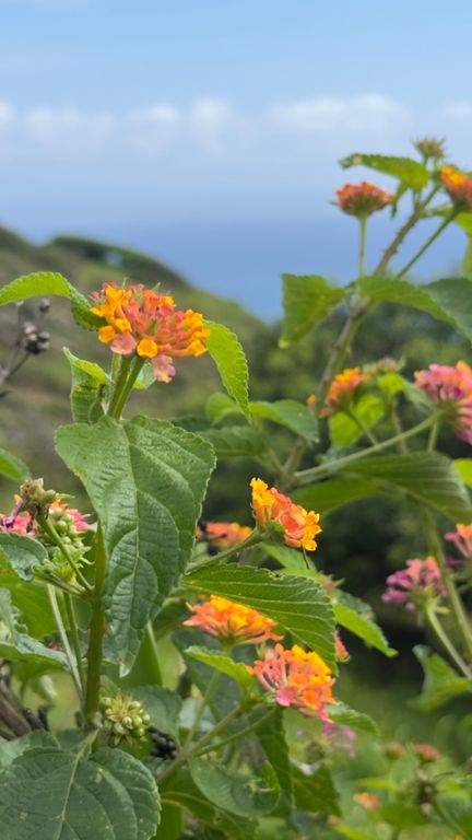 Sunny Day and Waterfalls