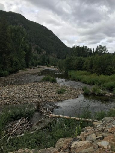 Typical Ashnola River scenery.