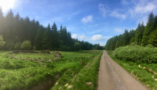Old sheepfold, Monynut Forest