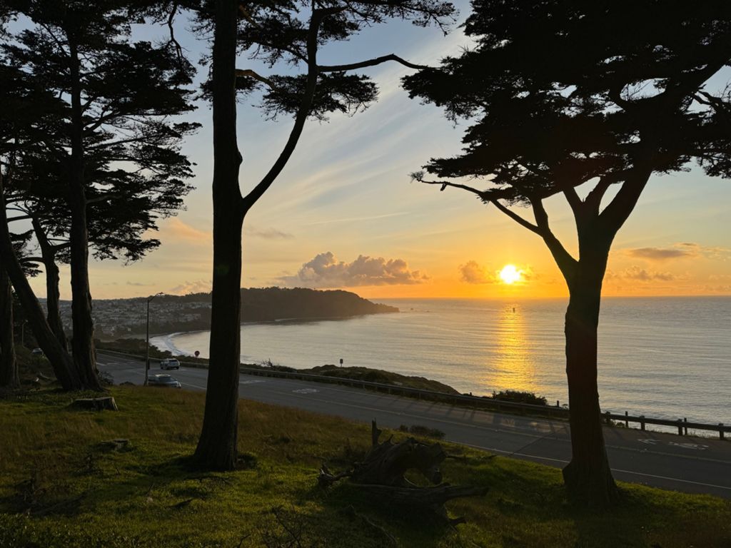 Butterlap (Presidio & Golden Gate Park) photo 22