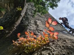 Via ferrata Les baumes du Verneau