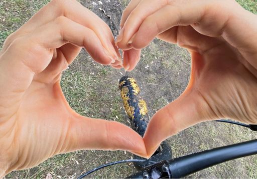 Rozpačité blues Jara Filipa…
https://music.apple.com/cz/album/rozpa%C4%8Dit%C3%A9-blues/1533446031?i=1533446172&l=cs