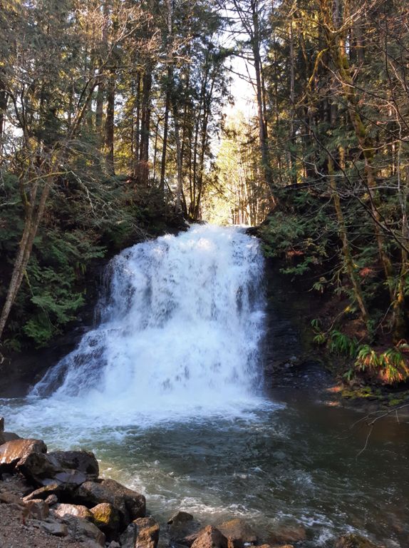 Nanaimo Lakes/ Boomerang Lake Dumont Loop 61.9 km Cycling Route on Strava