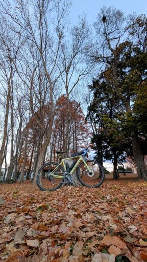 伊佐沼公園
(画像盛ってます、ホントはもっと色は地味)