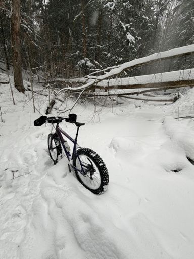 Massive tree down across the stream crossing on Orange. 